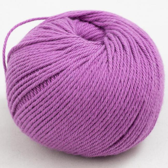 Gossypium Cotton